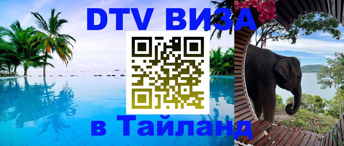 Сколько стоит DTV виза — актуальные цены, оформление даже без документов - 